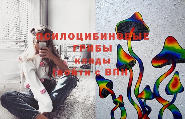 МДПВ Абдулино