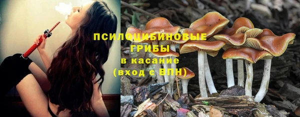 СК Абаза