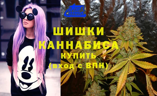 СК Абаза