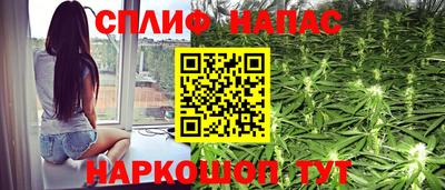 ешки Гагарин